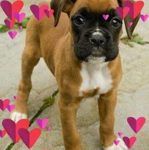 Meet your Posher, Richard